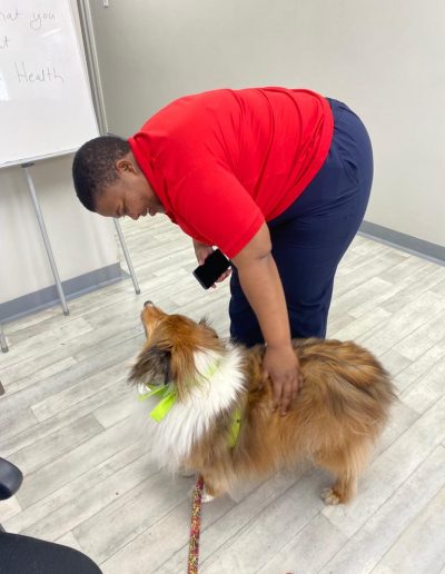 Therapy dogs visiting the hospital-17