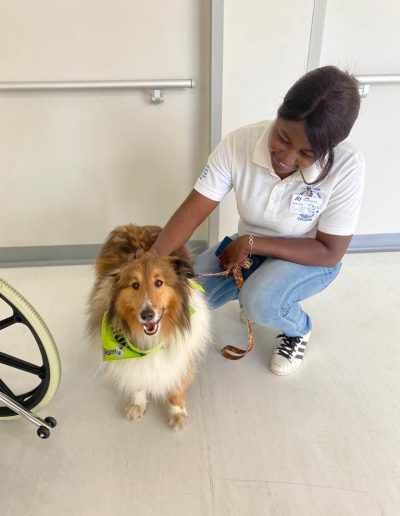 Therapy dogs visiting the hospital-16