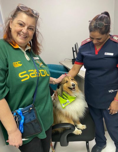 Therapy dogs visiting the hospital-16