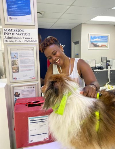 Therapy dogs visiting the hospital-15