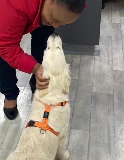 Therapy dogs visiting the hospital-1