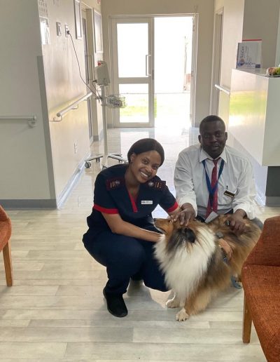 Therapy dogs visiting the hospital-6