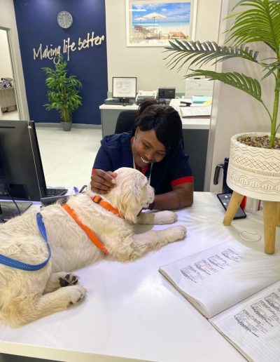 Therapy dogs visiting the hospital-6