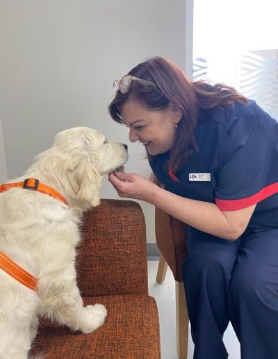 Therapy dogs visiting the hospital-7