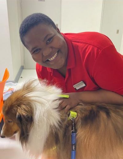 Therapy dogs visiting the hospital-8