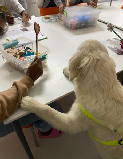 Therapy dogs visiting the hospital-9