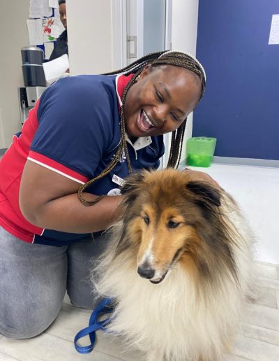 Therapy dogs visiting the hospital-12