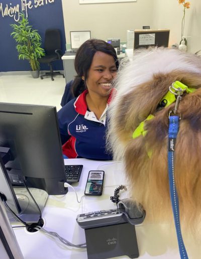 Therapy dogs visiting the hospital-13